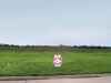 Click on pictues for Enlarged Images Buse back button to return to lot listing for Mason City IA and Clear Lake Iowa