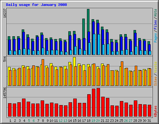 Daily usage for January 2008