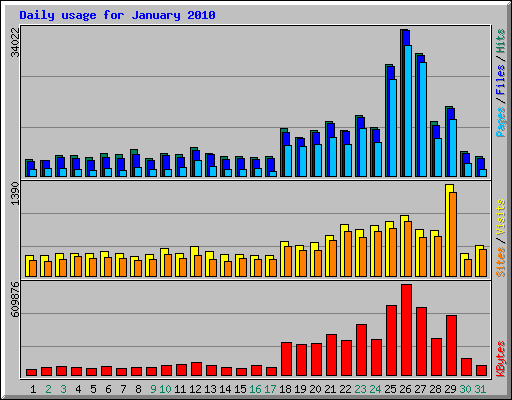 Daily usage for January 2010