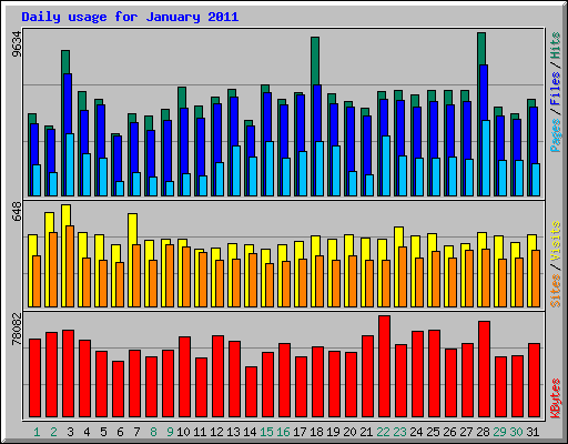 Daily usage for January 2011