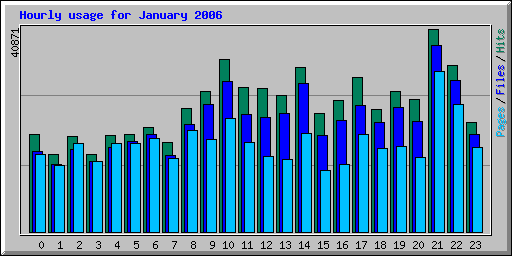 Hourly usage for January 2006