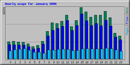 Hourly usage for January 2008
