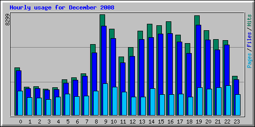 Hourly usage for December 2008
