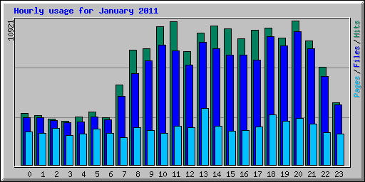Hourly usage for January 2011