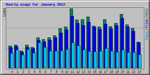 Hourly usage for January 2012