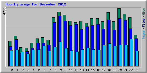 Hourly usage for December 2012